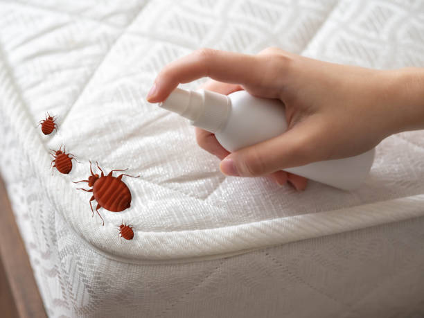 Best Residential Pest Control  in Dexter, OR